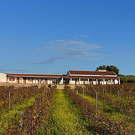 Turismo Rural Pedremoura Guest House Vila Ruiva  ภายนอก รูปภาพ