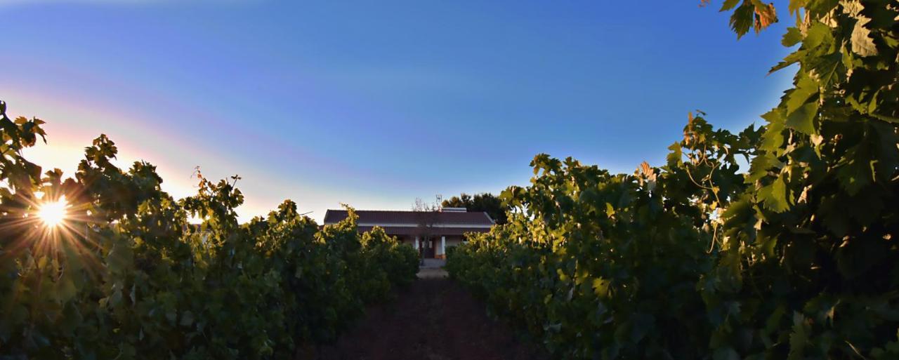 Turismo Rural Pedremoura Guest House Vila Ruiva  ภายนอก รูปภาพ